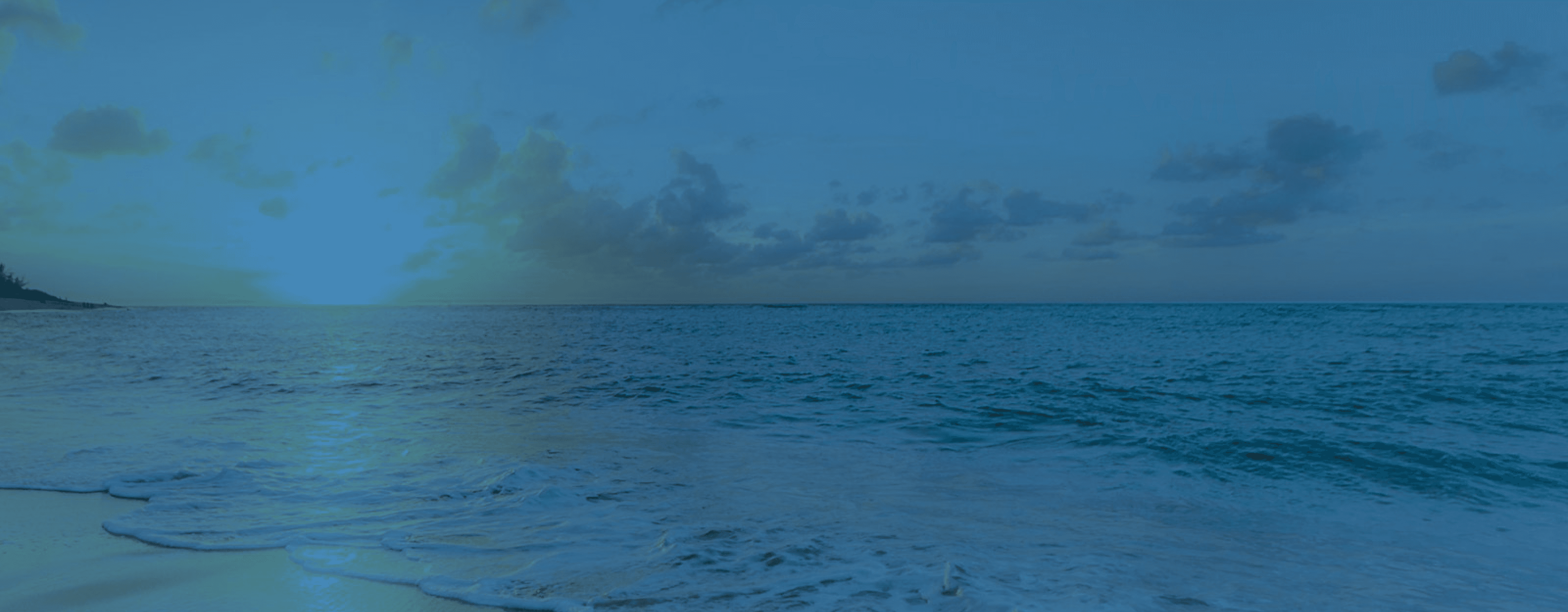 Learning & Capacity Build-Up