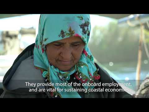 The State of Mediterranean and Black Sea fisheries 2018