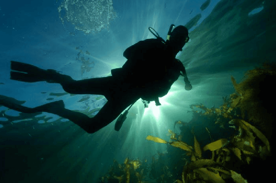 Divers from all over the country will once again clean the seabed