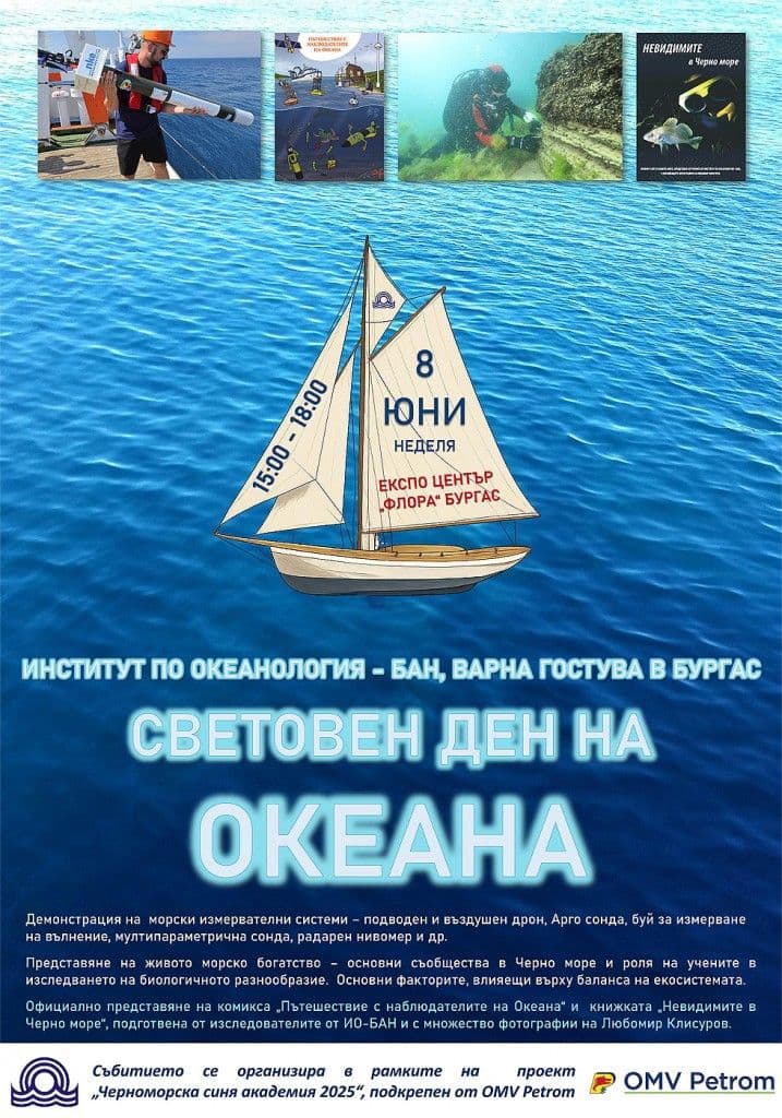 Get to know the living wealth of the Black Sea on World Ocean Day